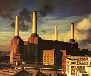 Nadmuchiwana świnia Pink Floyd zerwała się z liny i odleciała. Kulisy okładki „Animals”