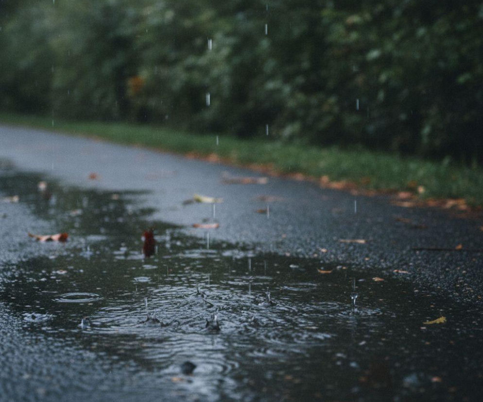 Krople deszczu uderzające o mokrą drogę obok krzewów. O nagłym załamaniu pogody w Gdańsku przeczytasz na SE.