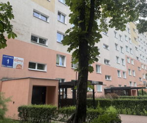 Wąż konał w śmietniku. To, co zrobił jego „opiekun”, poraża