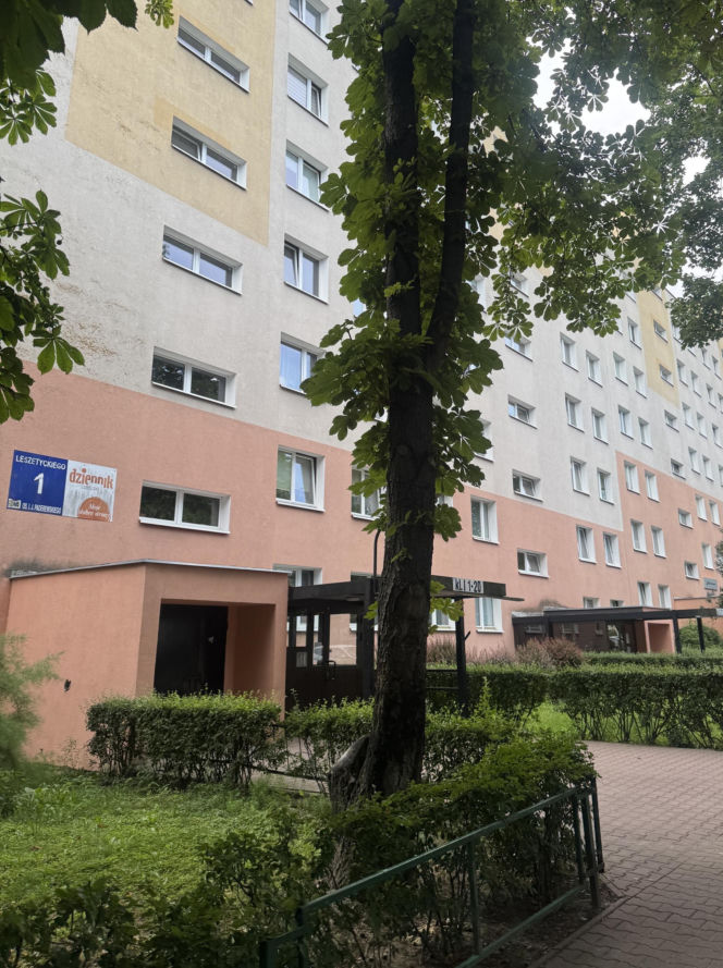 Wąż konał w śmietniku. To, co zrobił jego „opiekun”, poraża