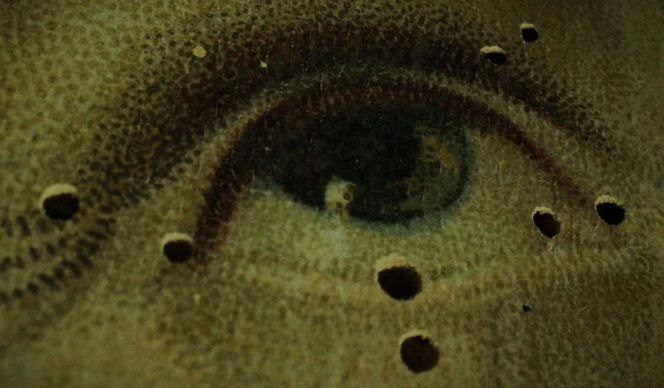 Oto filmy, które walczą o Złotą Żabę na festiwalu ToruńCAMERIMAGE. Zwycięstwo otwiera drogę do Oscara