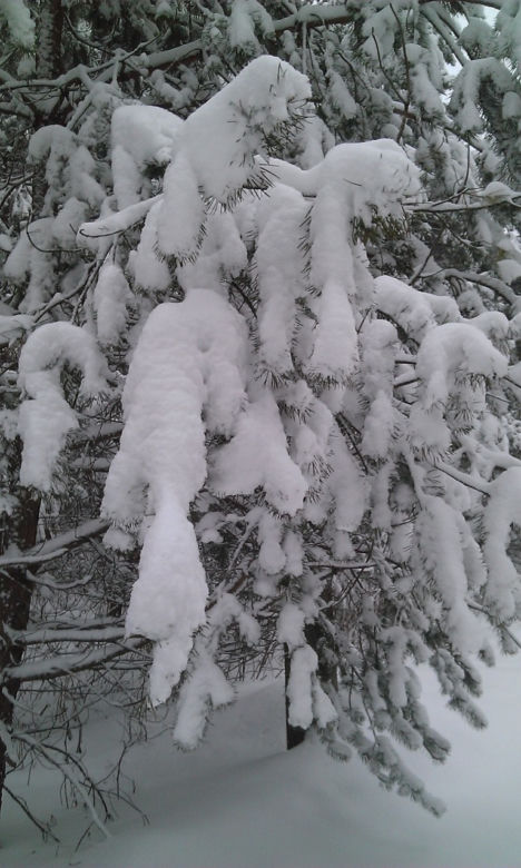 Nagły atak zimy w Wielkanoc. Spadło nawet 40 cm śniegu