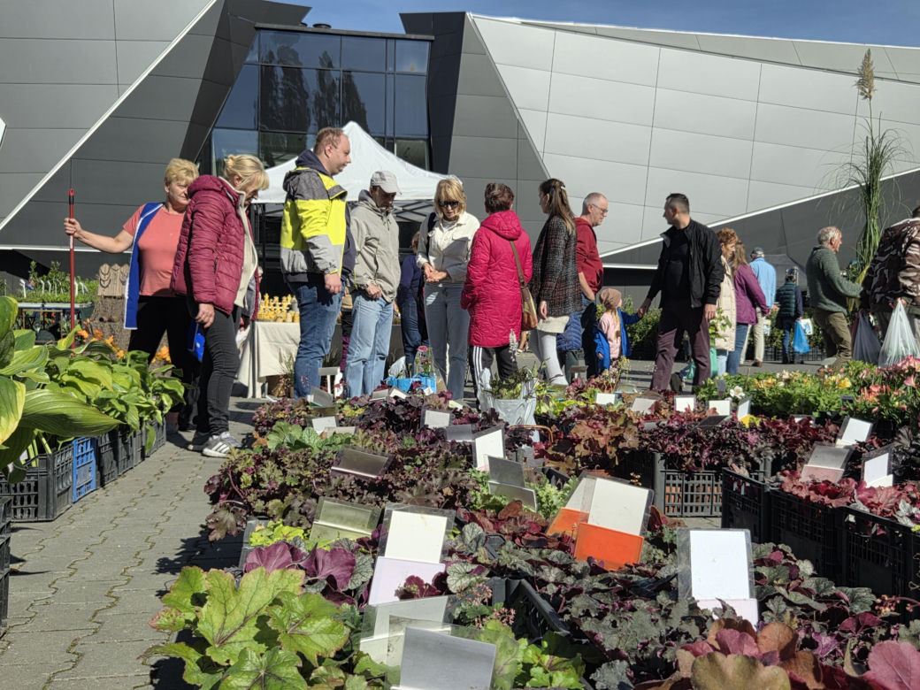 Jesienny Kiermasz Ogrodniczy w Bydgoszczy przyciągnął miłośników zieleni i smakołyków!