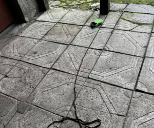 Szokująca interwencja w Chełmie