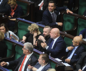 Liroy na polskiej scenie politycznej
