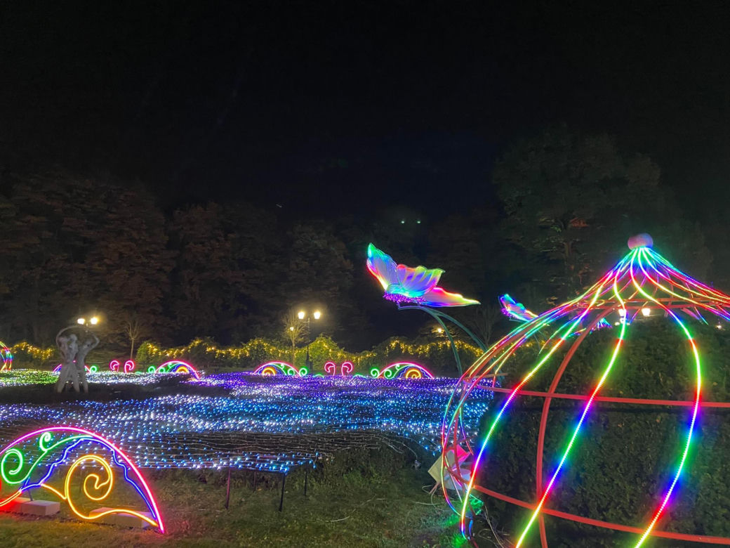 Park Miliona Świateł powraca! Zobacz, jak się prezentuje