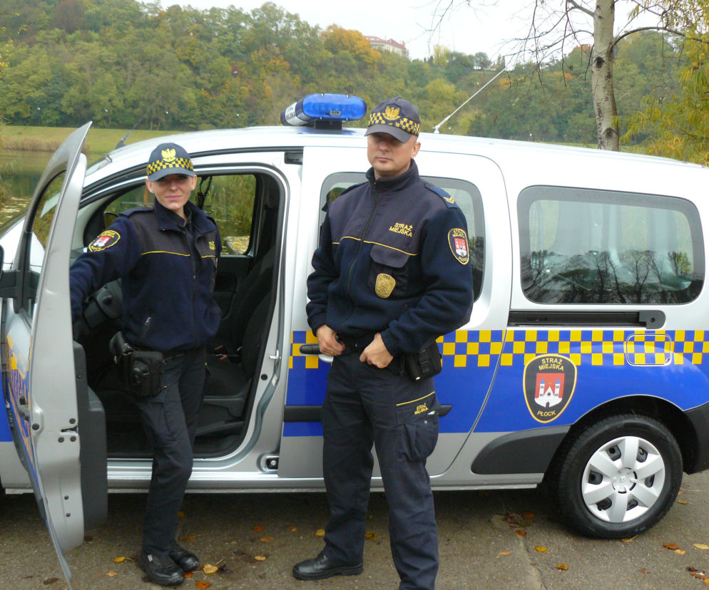 SM elektryk