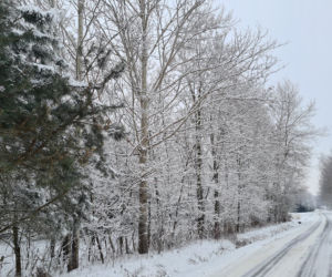 Zima na Podkarpaciu. Niezwykłe krajobrazy [ZDJĘCIA]