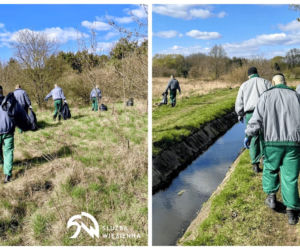 Siedleccy więźniowie pomagają środowisku i lokalnej społeczności