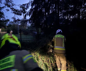 Skutki burz w Siedlcach i powiecie siedleckim