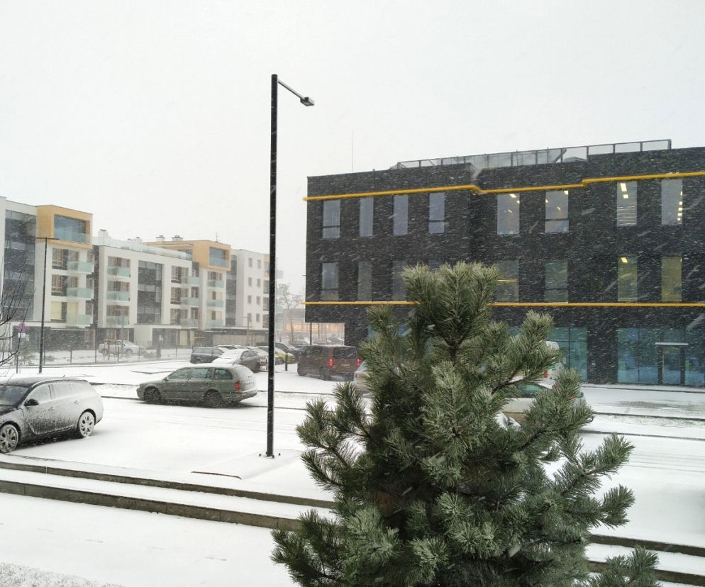 Śnieżyca we Wrocławiu i okolicach. Fatalne warunki na drogach 