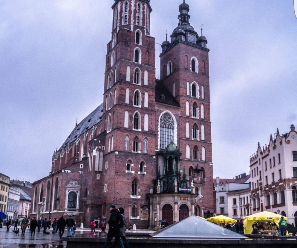 Zdjęcie dnia