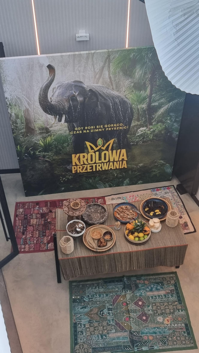 "Królowe przetrwania" reagują na pierwszy odcinek. Śmiech, łzy i marsowe miny