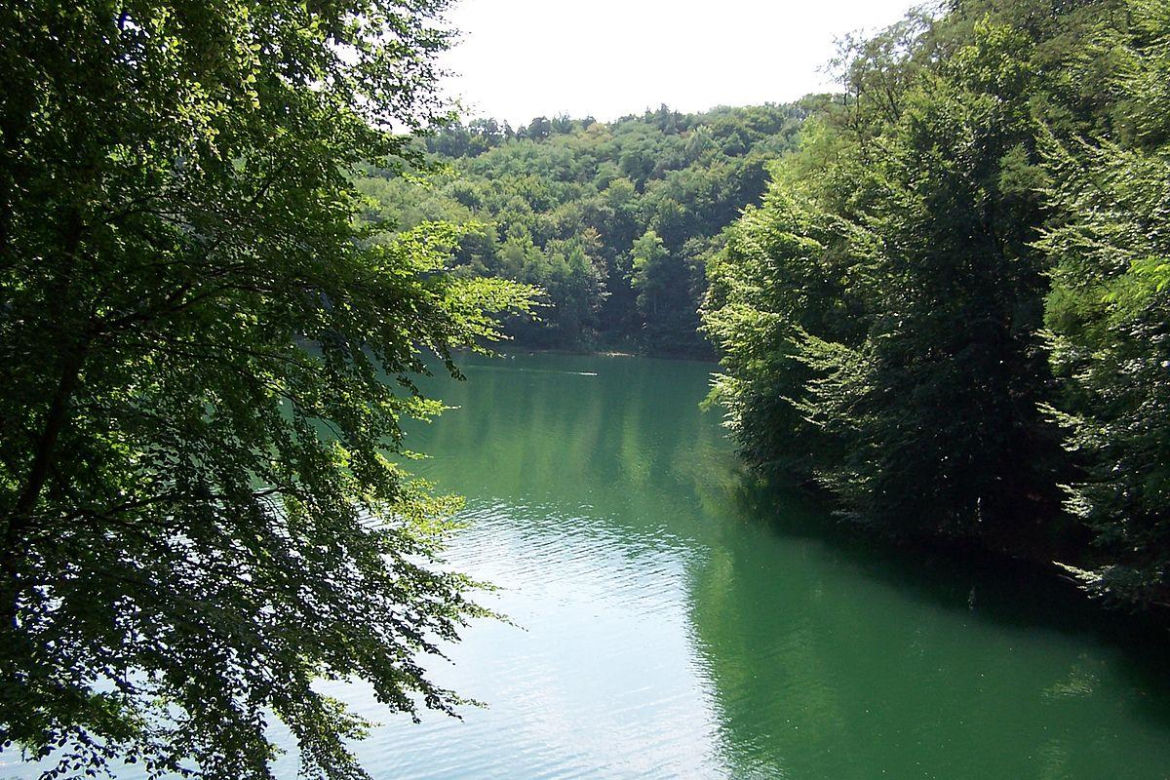 Szczeciński Park Krajobrazowy Puszcza Bukowa