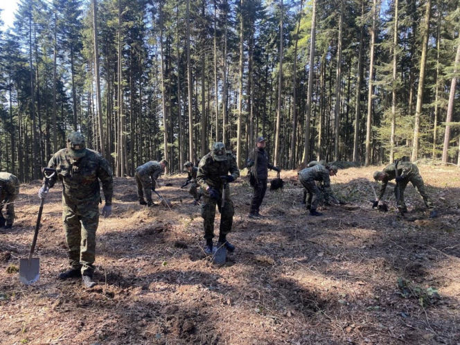 Strażnicy Graniczni sadzili drzewa z okazji 35-lecia swojej formacji