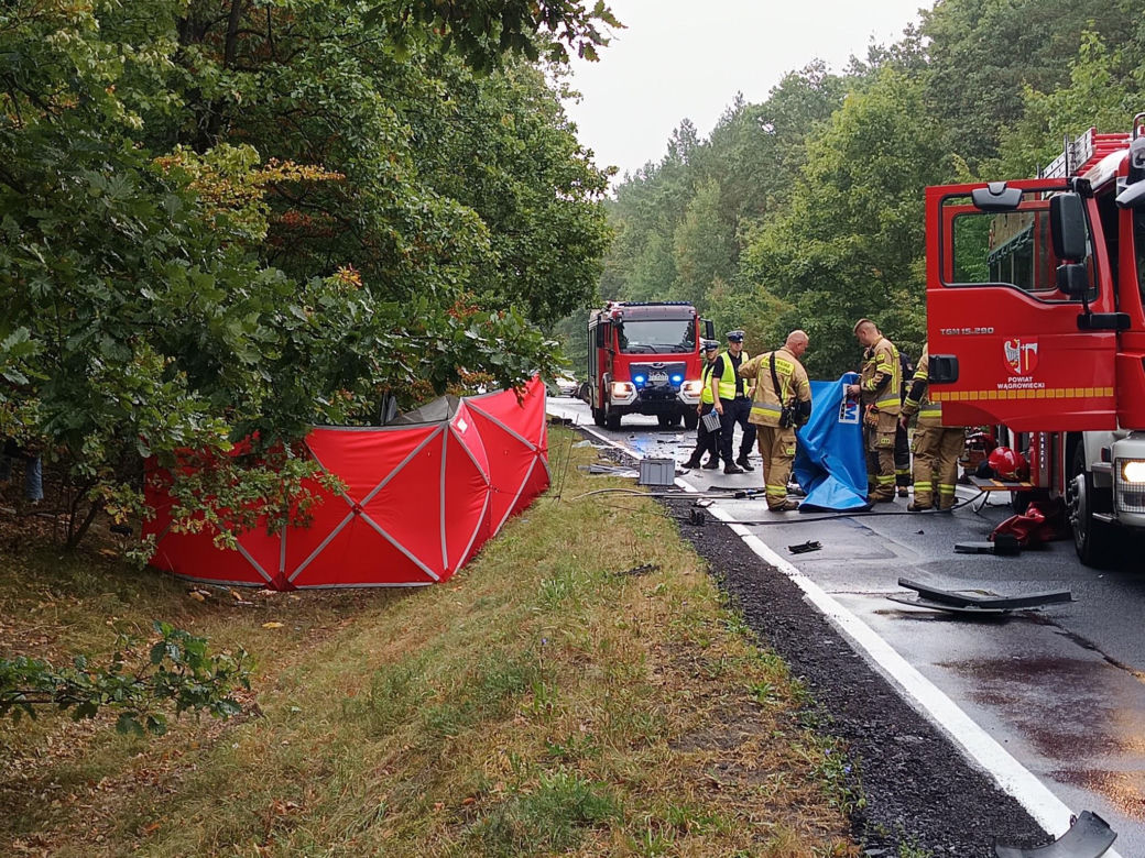 Renault zderzyło się z ciężarówką! Kierowca nie miał szans
