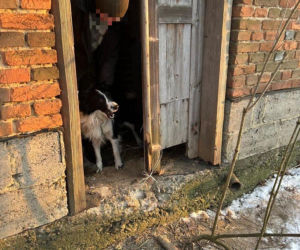 Dwa lata szedł z Francji na Podkarpacie