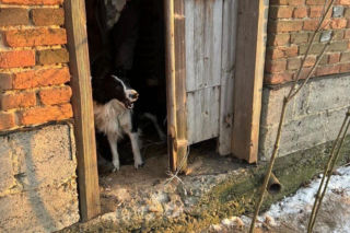 Dwa lata szedł z Francji na Podkarpacie