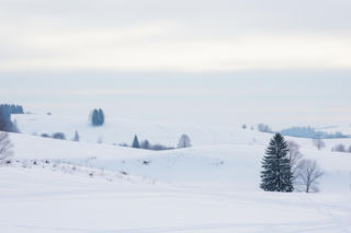 Ferie Mazowieckie 2026. Co tak naprawdę zmienia nowy podział?