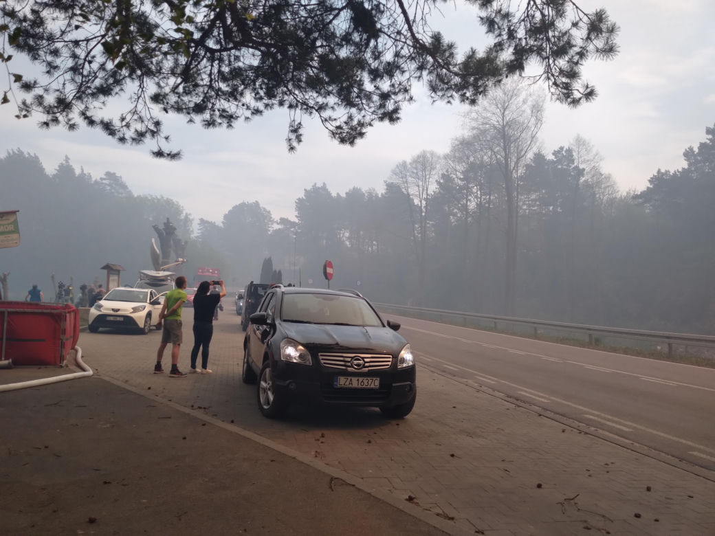 Pożar w Puszczy Białowieskiej