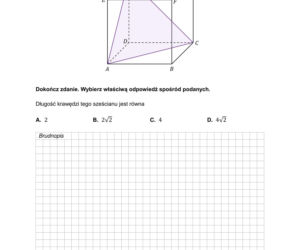 Matura próbna 2026 matematyka. - arkusz CKE