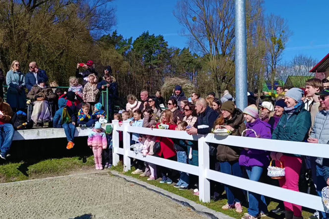 Konna święconka w Szczecinie