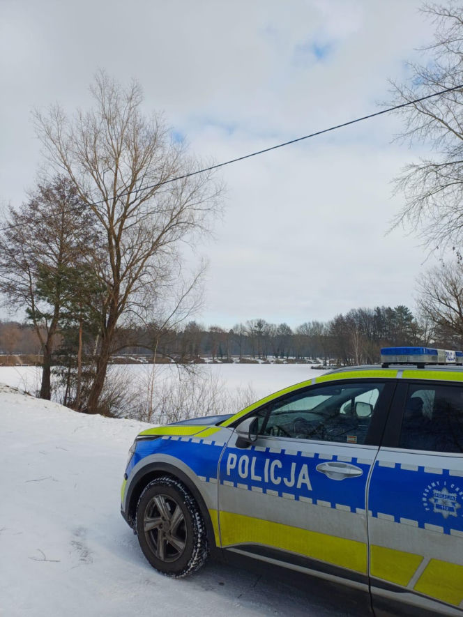 Piorun porzucony na drodze w Wigilię. Ta historia łamie serca