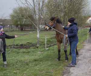 Zobacz, jak mieszkają bohaterowie serialu Rolnicy. Podlasie