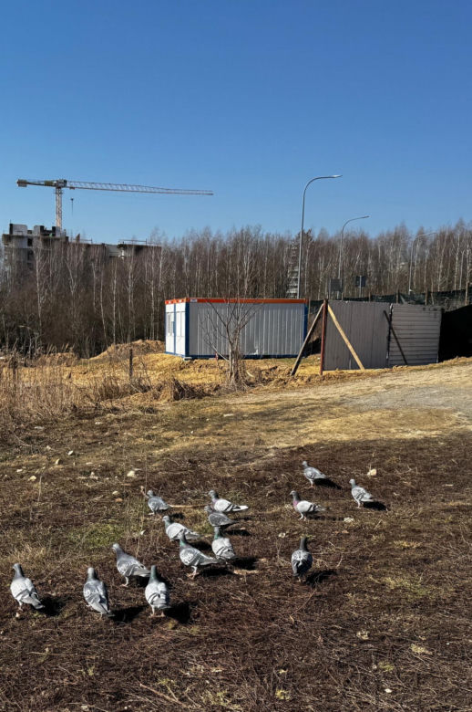 Rolnik sprzedał ziemię deweloperowi. Powstaną bloki. Mieszkańcy protestują