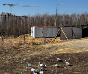 Rolnik sprzedał ziemię deweloperowi. Powstaną bloki. Mieszkańcy protestują