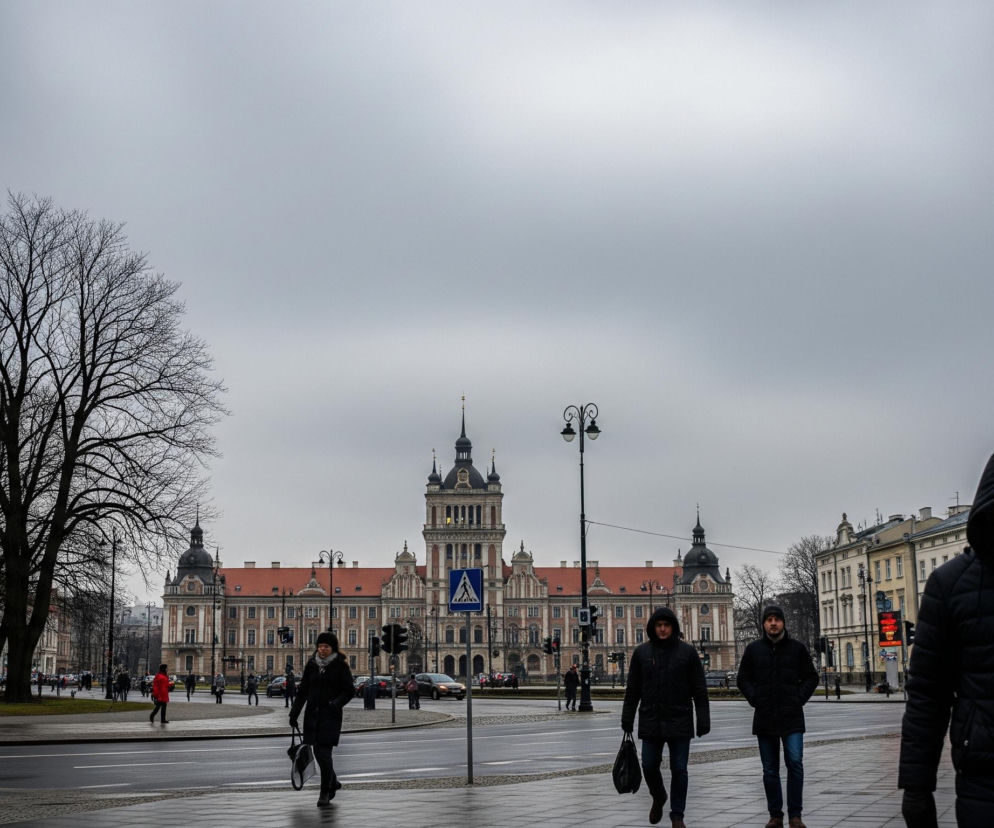 Mężczyzna w czarnej puchowej kurtce z kapturem, z brodą i patrzący prosto przed siebie, idzie po chodniku w prawym dolnym rogu kadru. Za nim, idąc w tym samym kierunku, widoczni są dwaj inni mężczyźni w ciemnych kurtkach i czapkach, z których jeden niesie czarną torbę. Z lewej strony drogi, na pierwszym planie, rośnie duże, bezlistne drzewo o rozłożystych konarach.

Na drugim planie dominuje monumentalny budynek z ceglanym dachem i licznymi oknami, posiadający dwie kopulaste wieże po bokach oraz wyższą, ozdobną wieżę centralną. Przed budynkiem rozciąga się ulica z pasami ruchu, po której poruszają się samochody, a na przejściu dla pieszych widoczne są sylwetki kilku osób, w tym jedna kobieta w czerwonej kurtce oraz kobieta w czarnej kurtce z białą torbą. Na drodze znajduje się również niebieski znak przejścia dla pieszych oraz czarne latarnie uliczne. Całość sceny rozgrywa się pod pochmurnym, szarym niebem, które zajmuje górną połowę obrazu.