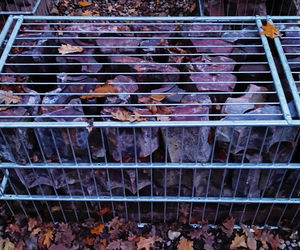 Teren wokół Wieży Quistorpa został uporządkowany