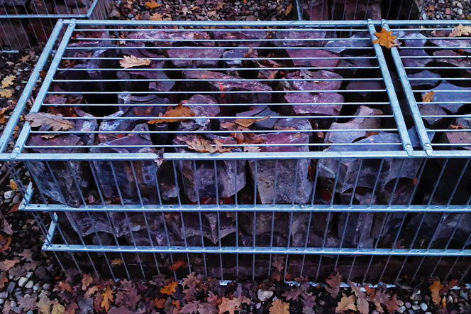 Teren wokół Wieży Quistorpa został uporządkowany