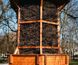 W Siedlcach powstała tężnia solankowa