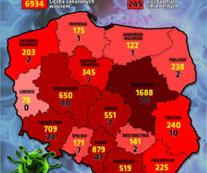 Koronawirus - 13.04.2020 - zobacz najnowsze wykresy