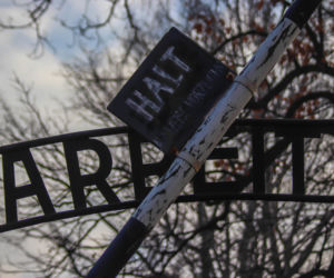 Śmigłowiec Black Hawk nad Krakowem i dziesiątki radiowozów na ulicach. Co się stało?
