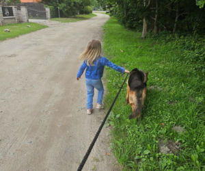 Zabrali dzieciom psa jak rzecz