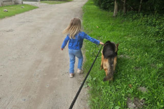 Zabrali dzieciom psa jak rzecz