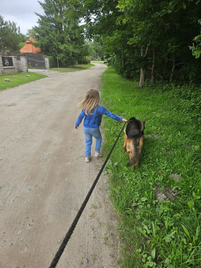 Zabrali dzieciom psa jak rzecz