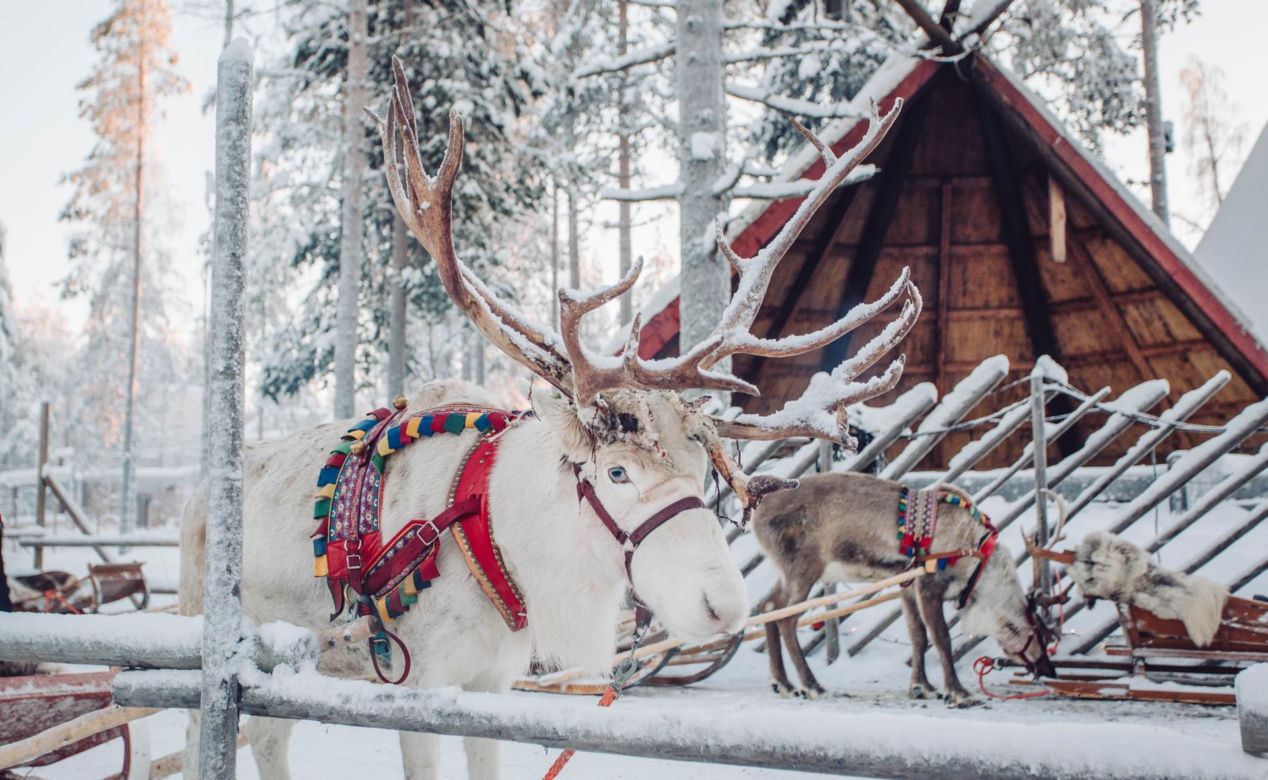 Gdzie mieszka święty Mikołaj? Wioska Mikołaja w Rovaniemi