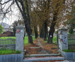 To miasto na Śląsku zachwyca perłami architektury. Zabytkowe osiedla robią wrażenie!