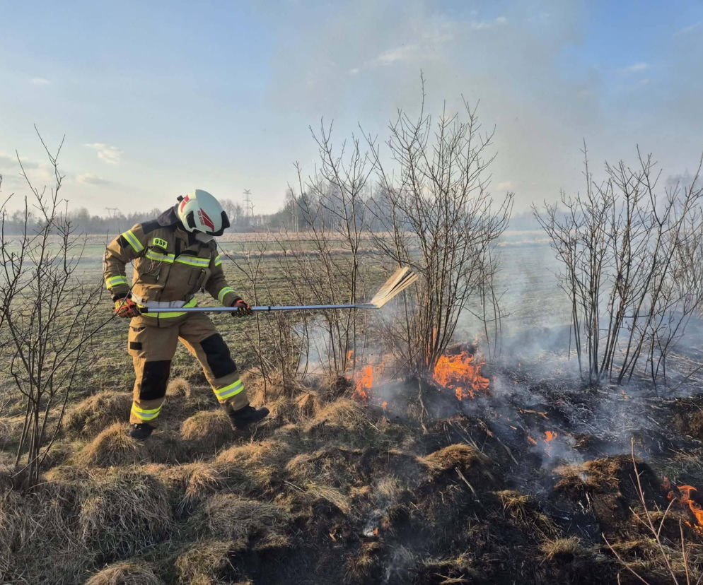 Wiosenna plaga: Pożary traw. Na zdjęciach akcja gaśnicza w Nowych Żukowicach