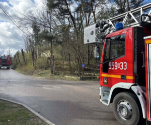 Interwencje Strażaków przy likwidacji szkód spowodowanych przez gwałtowny wiatr i burze
