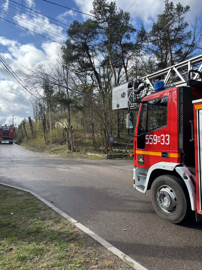 Interwencje Strażaków przy likwidacji szkód spowodowanych przez gwałtowny wiatr i burze