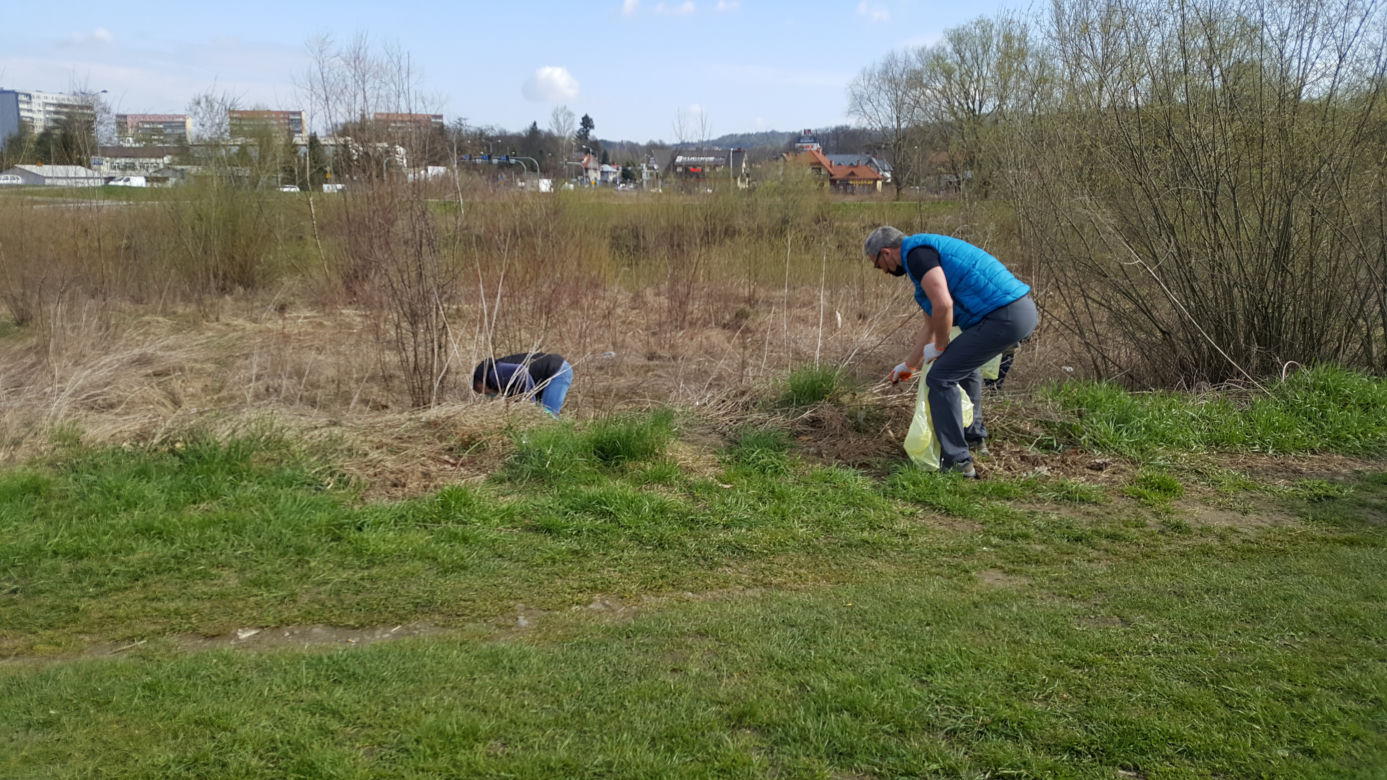 Sprzatanie brzegów Kamienicy