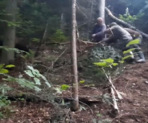Leśnicy z Dynowa uratowali  sarnę zaplątaną we wnyki [ZDJĘCIA]