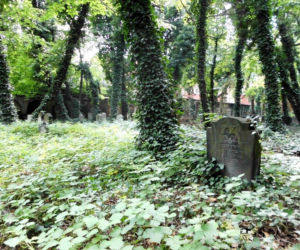 Cmentarz żydowski w Katowicach