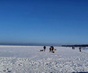 Plaża w Świnoujściu w zimowej odsłonie