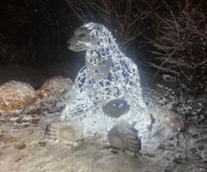 MagicznyBotaniczny 2025/2026 w Warszawie