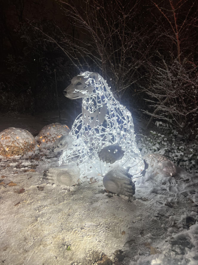 MagicznyBotaniczny 2025/2026 w Warszawie